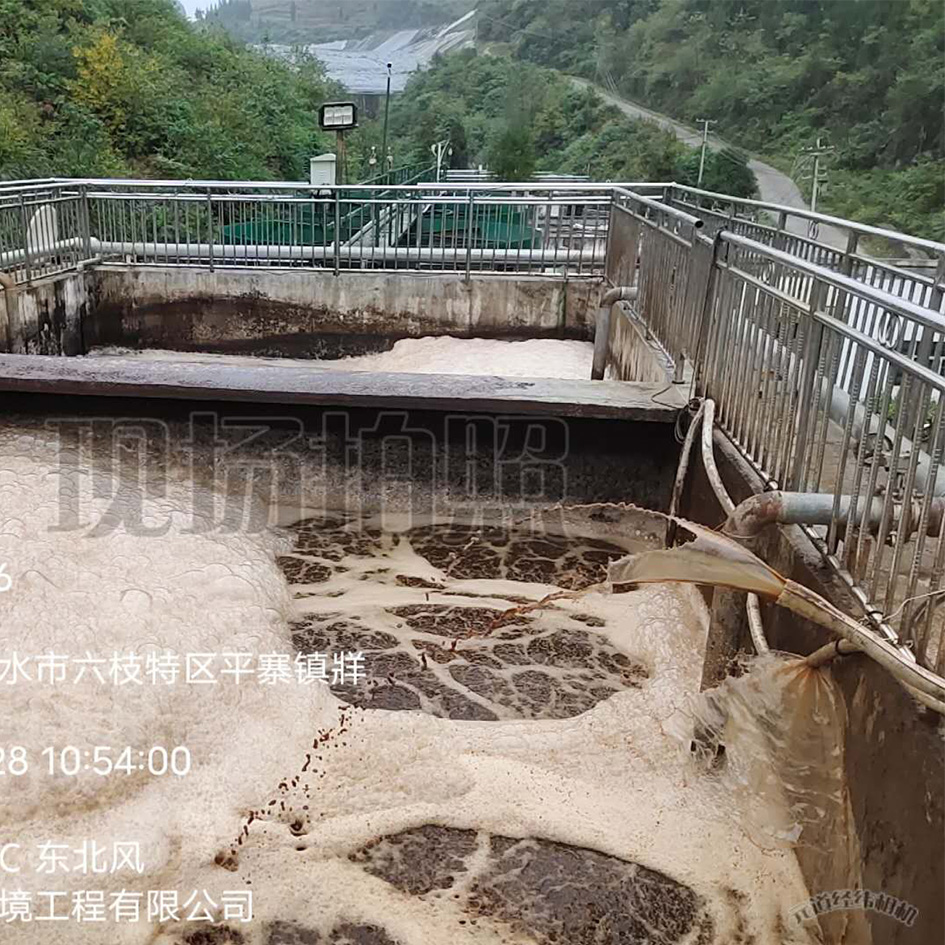 香蕉黄色电影滲濾液處理中泡沫產生的危害